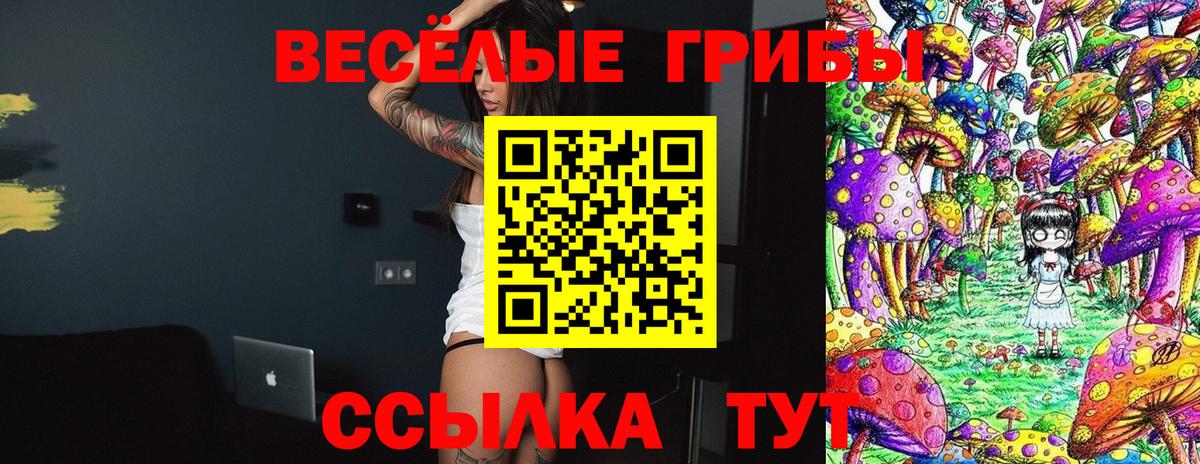 Сегежа  Галлюциногенные грибы GOLDEN TEACHER  Вход с VPN 